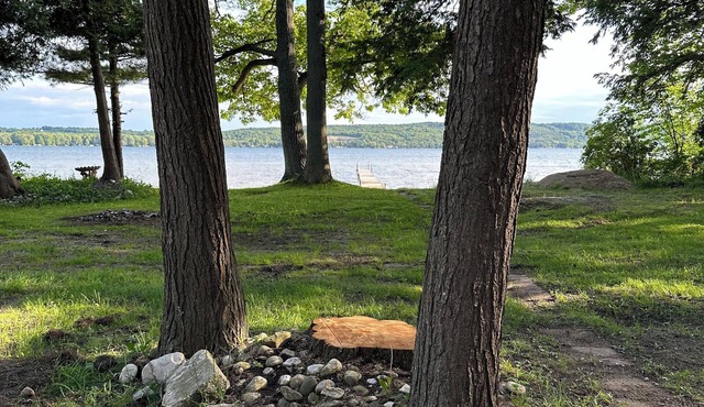 Centrally located on the lake to so many adventures. Boats and pets welcome! in Honor