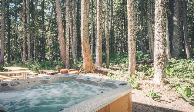 Chalet am Berg, gourmet kitchen, 3 fireplaces, BBQ, hot tub, dogs welcome