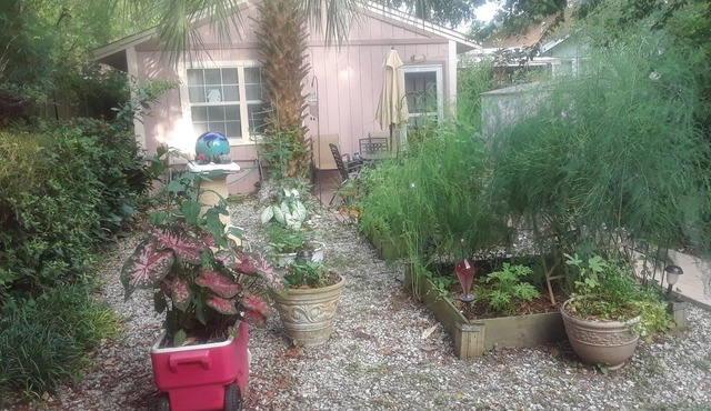 Charming 1-bedroom cottage with AC in beautiful Pensacola