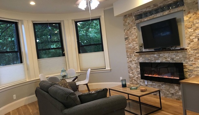 Charming 1BR w/Fireplace Near Fenway & Longwood in Brookline
