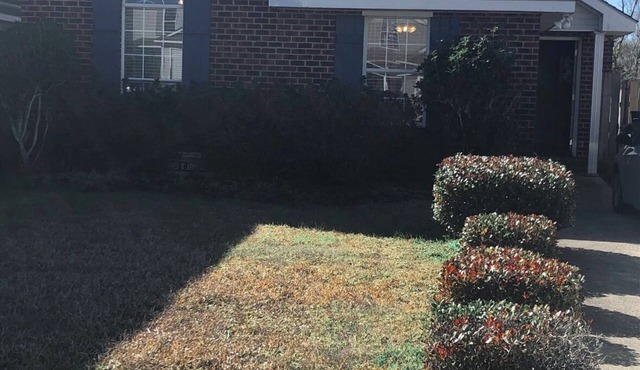 Charming 3-bedroom house in vibrant New Orleans area with WiFi and AC!