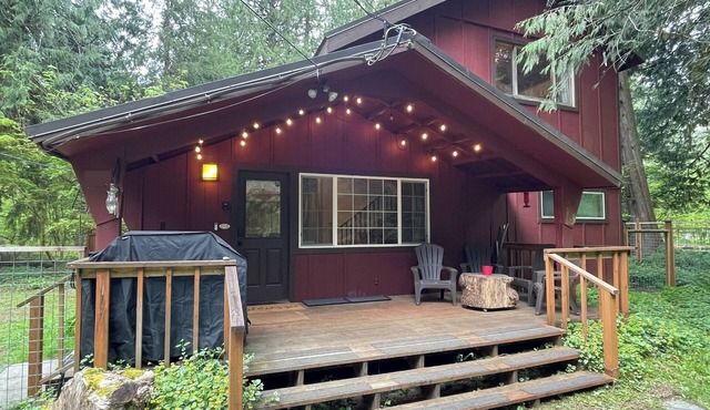 Charming 3-bedroom cabin in Rhododendron