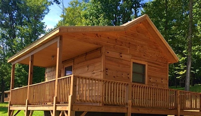 Charming Cabin Rental with Blue Ridge Mountain Views in Purlear, North Carolina in Purlear