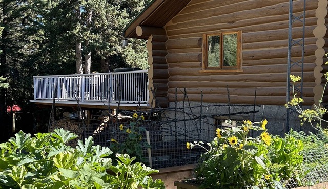 Charming Log Home Nestled in 7 Wooded Acres in Clearwater County