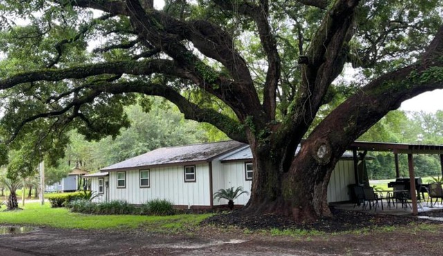 Charming Oak