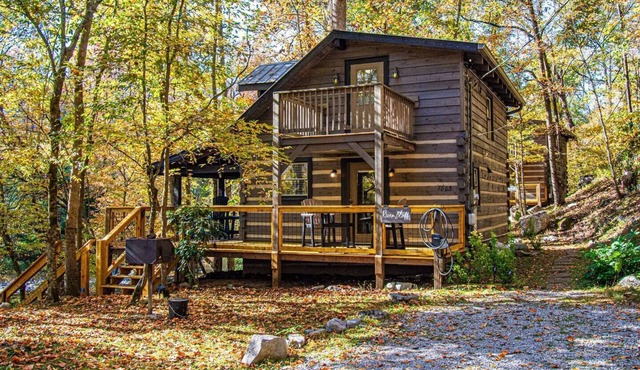 Charming Riverfront Cabin* EV Chrg * Fish * Swim *