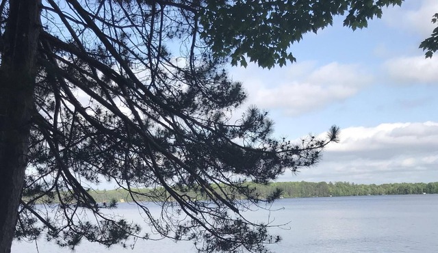 Clean, Classic, Quiet Lakefront Comfort - Augie's Cabin on the Three Lakes Chain