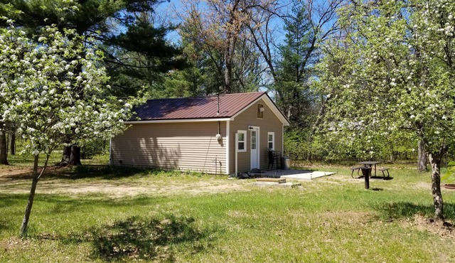 Clean, comfortable cabin within walking distance to Tippy Dam!