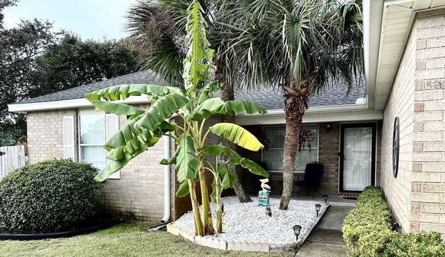"Coastal Cottage" Spacious Coastal Home, Game Room/Bikes/Large yard