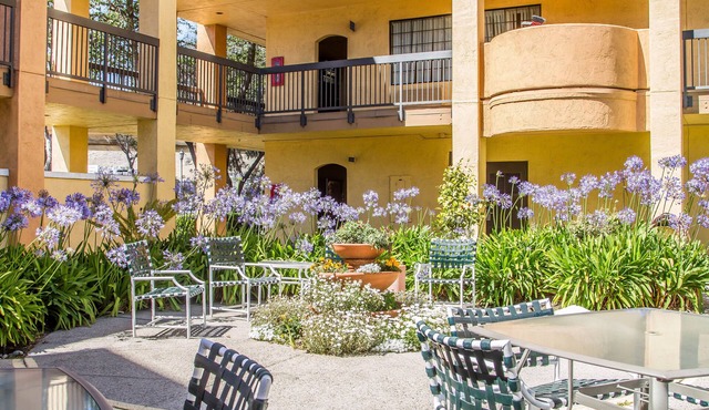Comfort Inn and Suites San Francisco Airport North