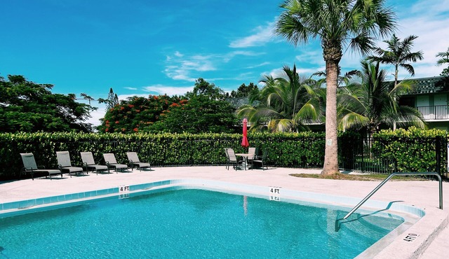 Comfy & Spacious 1 BR APT w/Pool near downtown