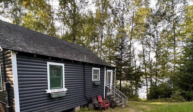 Cozy 2 Bedroom Lakefront Cabin Turtle Point Outpost|Box Turtle