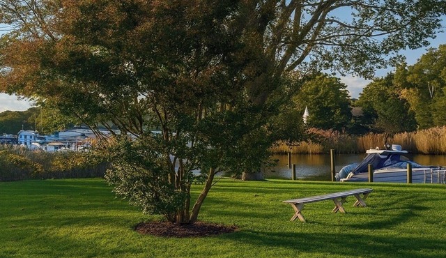 Cozy 3 bedroom home with a private dock overlooks the serene view of James Creek