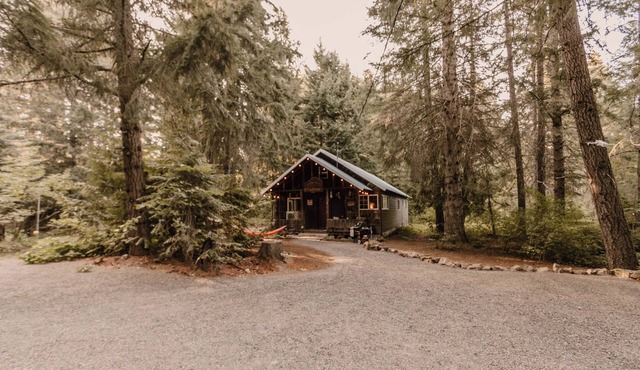 Cozy Cabin with Vintage Vibes in Trout Lake