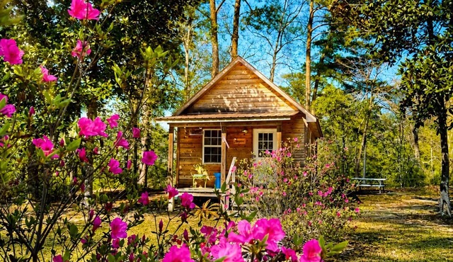 Cozy Creekside Cabin Retreat on the creek with 2 beautiful private sandbars!