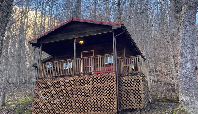 Cozy & efficient cabin w/river access. Pet Friendly!
