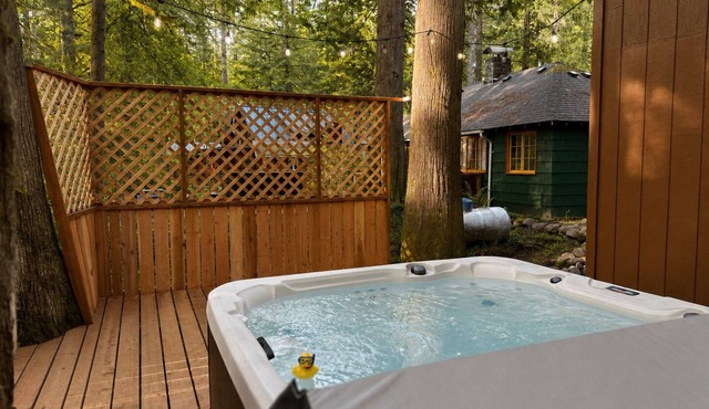 Cozy Forest Cabin, Hot Tub, King beds, AC, Fast Wi-fi, Waterfront, Pet Friendly