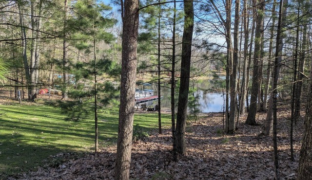 Cozy lakefront cabin, TONS of amenities; dog friendly; 15 mins to downtown TC
