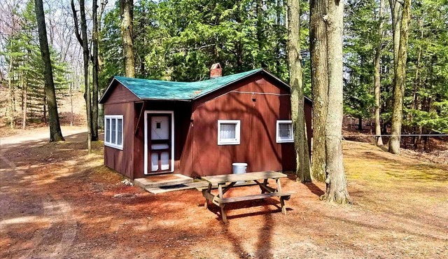 Cozy Lakeside Cabin in Manistee National Forest, Michigan