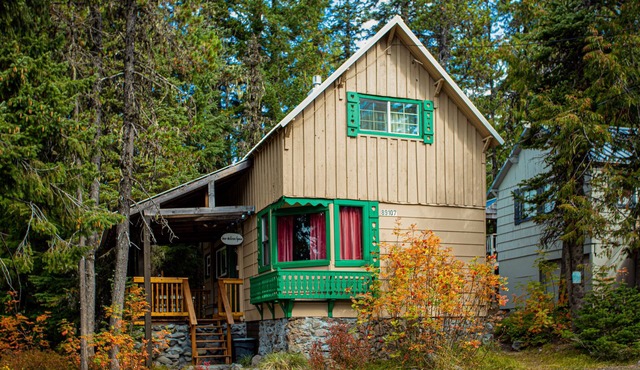 Cozy Mountain Cabin with Full Kitchen - Close to Town, Skiing & Hiking Trails