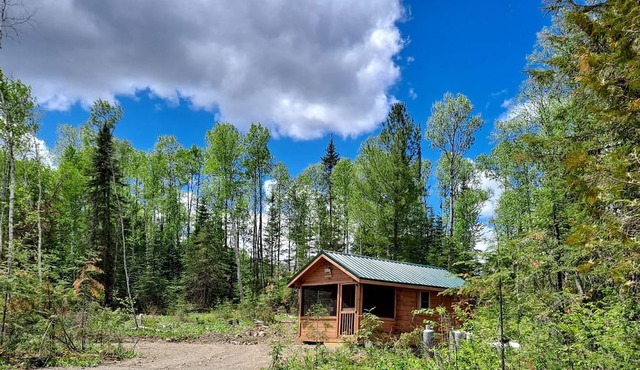 Cozy Tiny Cabin - Off-Grid Experience with Sled Dogs Year 'round in Minnesota
