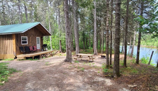 Cozy waterfront cabin in Huron Shores