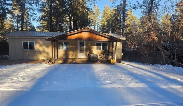 Cuatros Pinos ~ Quiet Tall Pine Retreat