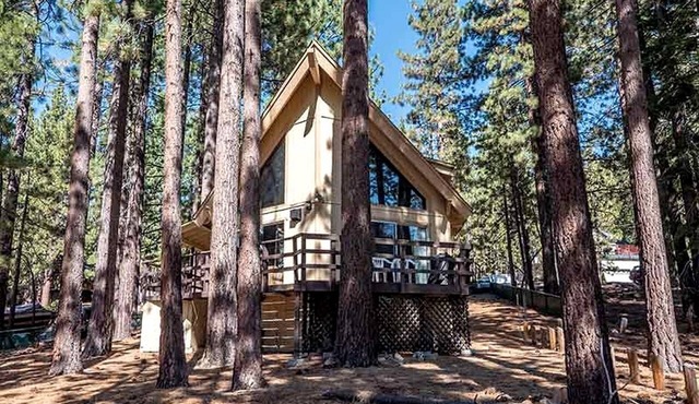 Delightful Rustic Cabin for Family and Group Getaways near Heavenly Ski Resort and Lake Tahoe, California