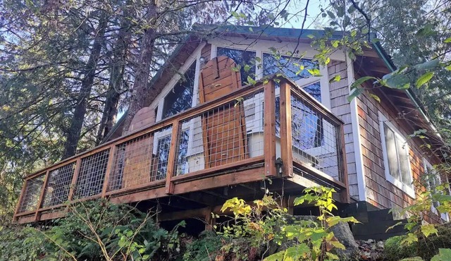 Destination Mt Rainier, a Rustic Cabin on the Tilton River in Morton, WA