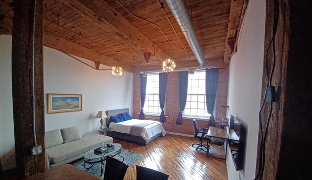 Detroit Artsy Industrial Loft