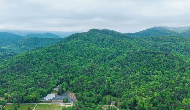 Dog-friendly steps to Warwoman Dell in the Chattahoochee National Forest