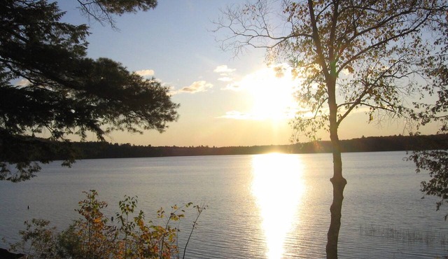 Embden Pond Waterfront Cottage- Fire Pit & Fall Views, 3 BR Sleeps 6 in Embden