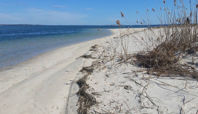 Enjoy a relaxing getaway to the North Fork - Tranquil 1-bedroom apartment