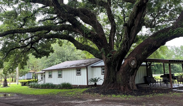 Enjoy the peaceful outdoors in this newly remodeled home on 5 acres