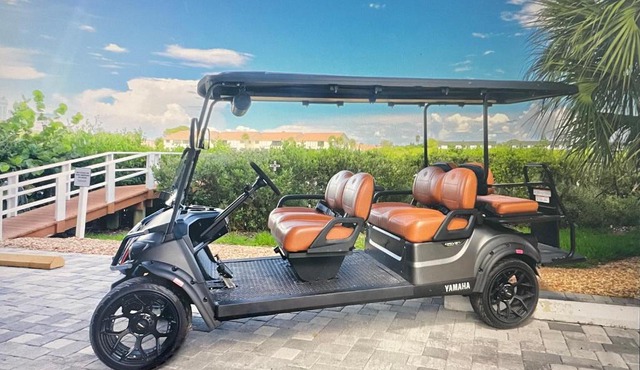 FIRST-CLASS ALL INCLUSIVE WATERFRONT DREAM w GOLF CART INCLUDED in Clearwater Beach