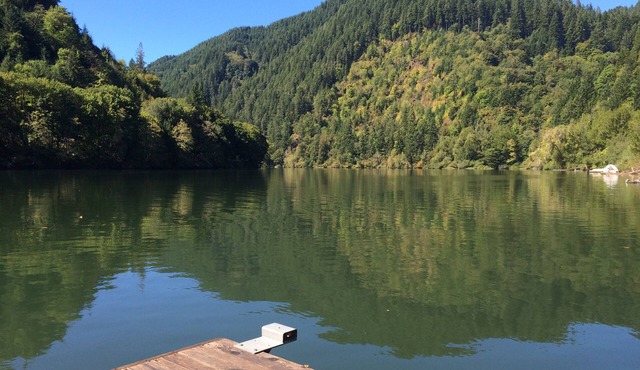 Fish, hunt or relax - Riverfront Cozy 2bd Cabin on Umpqua River fenced 1.5 acres