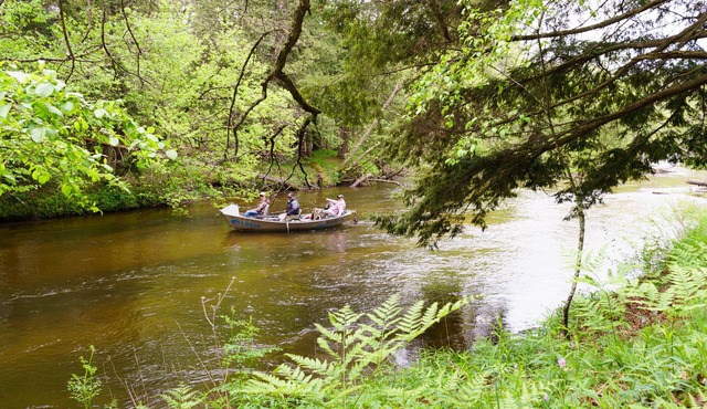 Fish & Kayak the Pere Marquette River from this Cozy Cabin on the River Bank