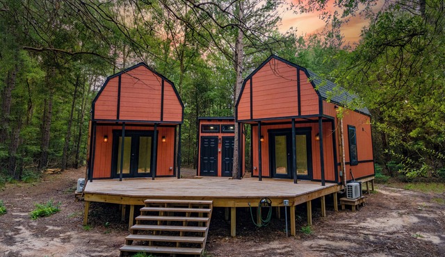 Getaway to the Pines of East Texas - Eagle 2