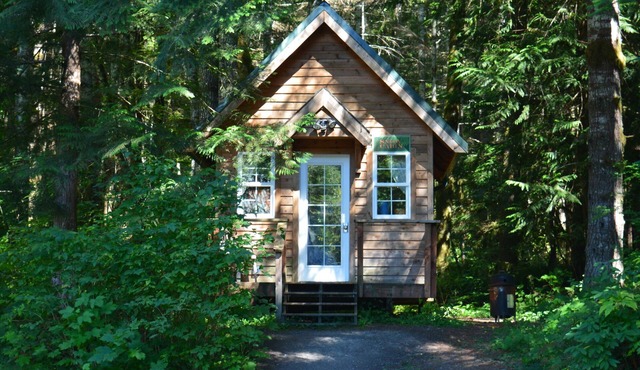 Glamping at its finest in an adorable tiny home cabin that sleeps up to three! Shared hot tub. Beautiful property surrounding the cabin. Short stroll to Copper Creek. Walking distance to Copper Creek Restaurant. 2 miles to Mt Rainier National Park.