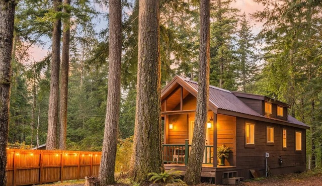 Grizzly Ridge