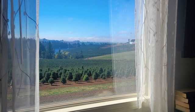 Guest House at Buena Vista Lavender Farm