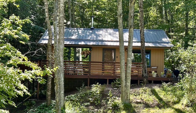 Hauser's Bayfield Cabin (Whole Cabin)