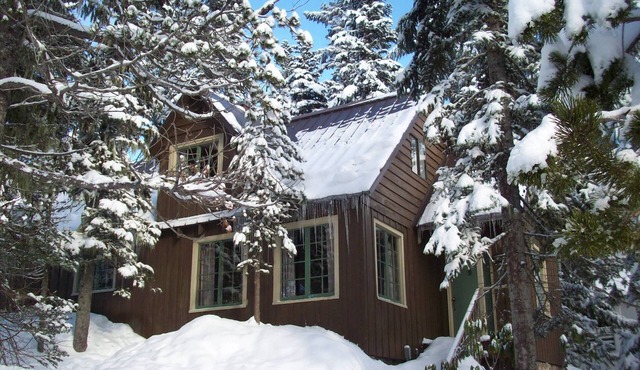 Heart of village! Knotty pine alpine cabin.