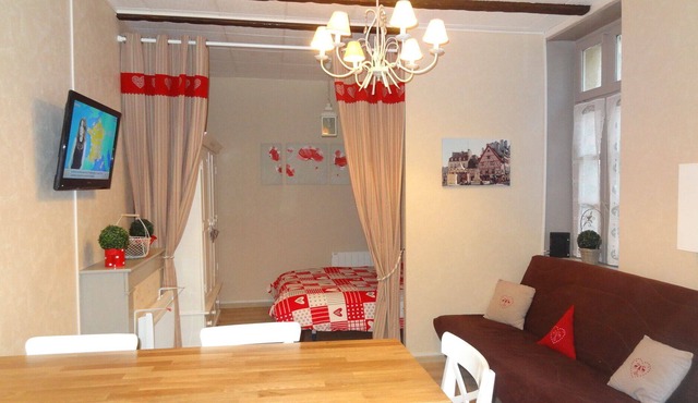 Historic center - nice studio for 4 people in Dijon