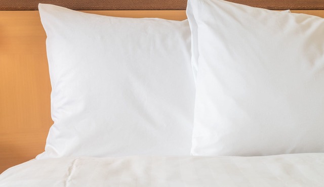 Holiday Inn Express & Suites Port Huron by IHG