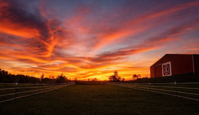 KC’s Hideout, your true western escape on a real, working horse ranch! in Middlefield