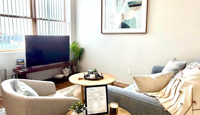 Lake Avenue Lofts- Manitou in Canal Park