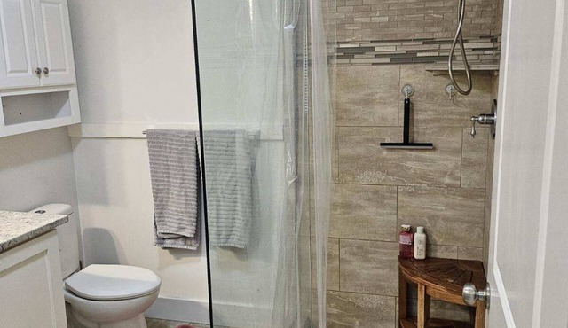 Large Studio with open concept, king size bed in Hyde Park