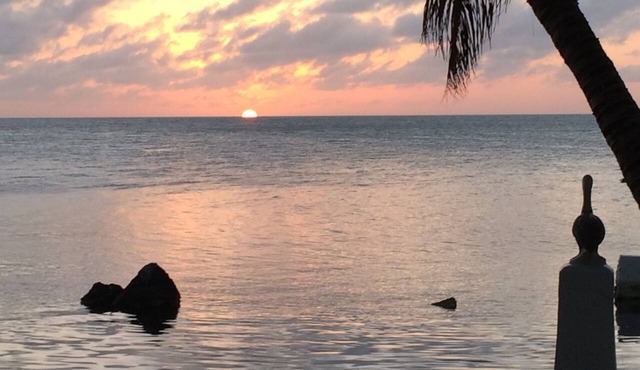 Lime Tree Bay Resort in Long Key