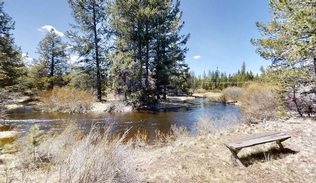 Little Pine Cabin at Big Pine Retreat with Firepit